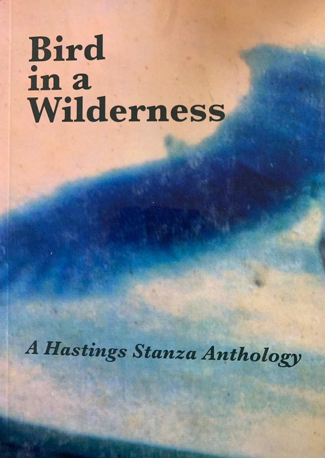 Birds in a Wilderness - Anthology